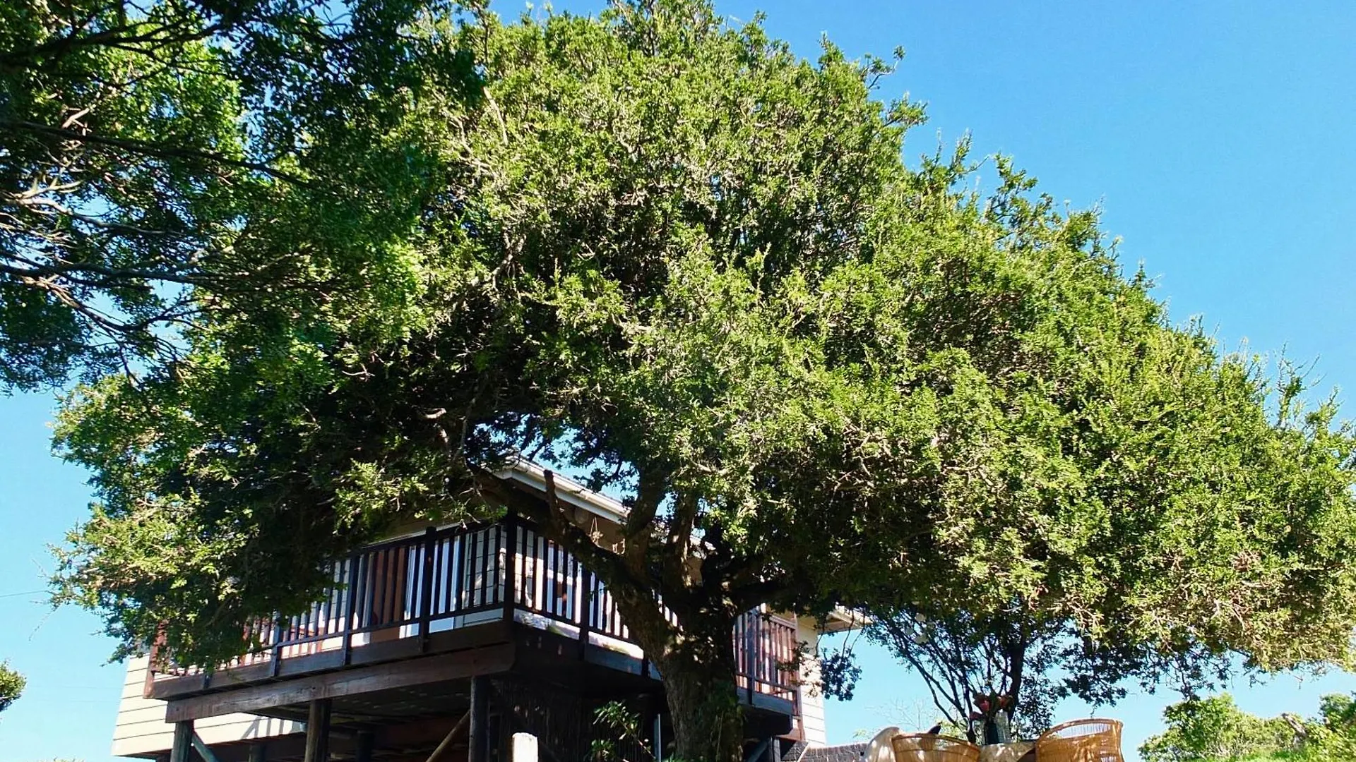 Soutelande Country Stay - Close To 1#Beach In Pe Port Elizabeth Holiday home