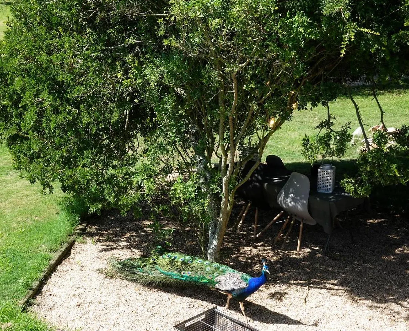 Soutelande Country Stay - Close To 1#Beach In Pe Port Elizabeth